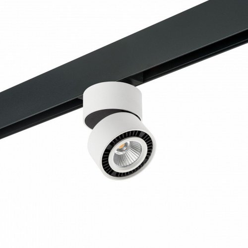 Светильник на штанге Lightstar Forte Muro PRO213816 Светильник на штанге Lightstar Forte Muro PRO213816