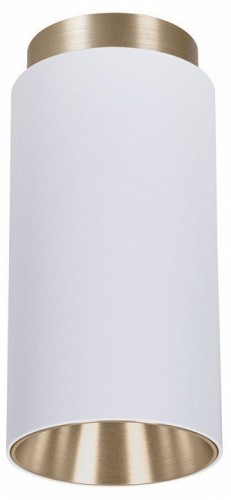 Точечный светильник Arte Lamp Cone A5361PL-1WH