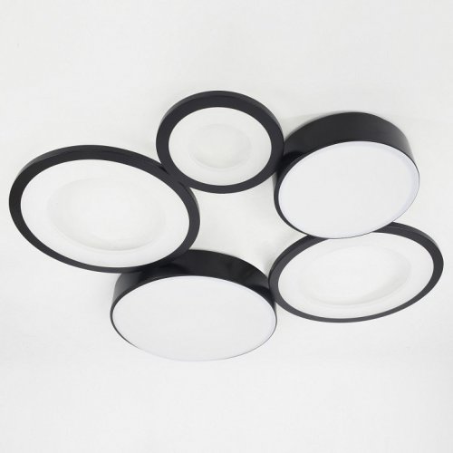 Потолочная люстра Rivoli Aliona Б0066468