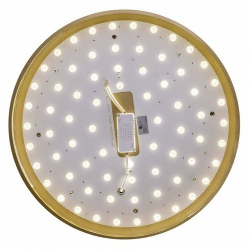 Потолочный светильник Zortes Gabby ZRS.90610.50