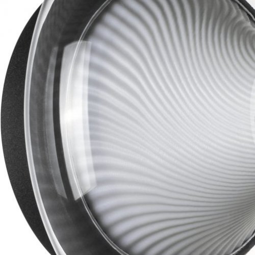 Настенно-потолочный светильник Lightstar Palermo 612017