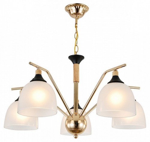 Подвесная люстра Escada Actinidia 2123/5P
