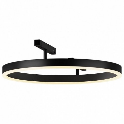 Трековый светильник Rim TR227-2-24W3K-B