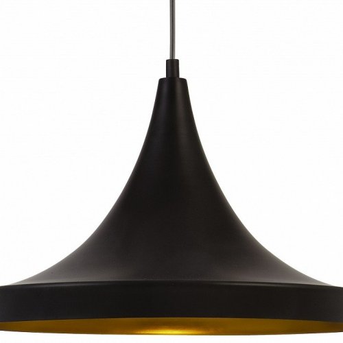 Подвесной светильник Arte Lamp Cappello A3406SP-1BK