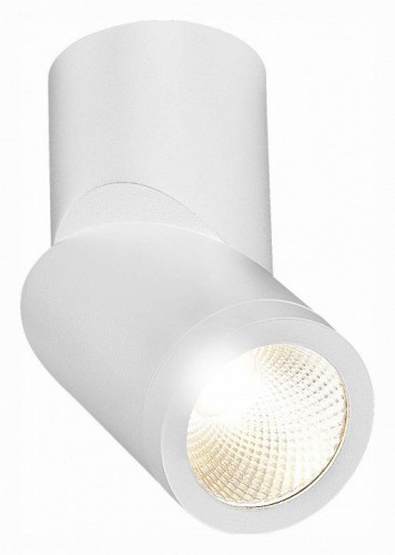 Светодиодный спот ST Luce ST650.532.10 Светодиодный спот ST Luce ST650.532.10