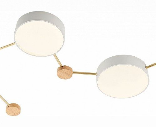 Потолочная люстра Evoluce Dossena SLE600102-04 Потолочная люстра Evoluce Dossena SLE600102-04