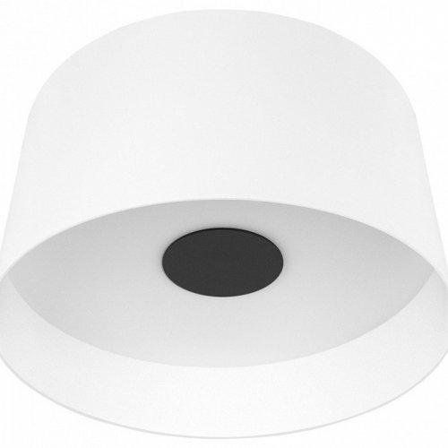 Потолочный светодиодный светильник Loft IT Duo 10360L White