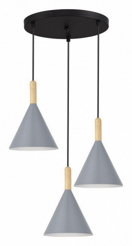 Подвесной светильник EVOLUCE Arket SLE1255-433-03 Подвесной светильник EVOLUCE Arket SLE1255-433-03