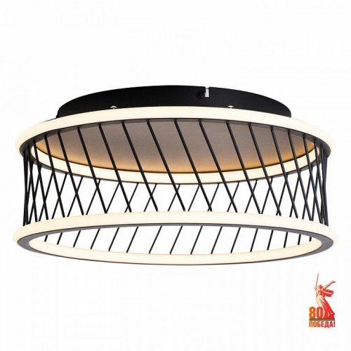 Накладной светильник F-promo Korg 4436-2C Накладной светильник F-promo Korg 4436-2C