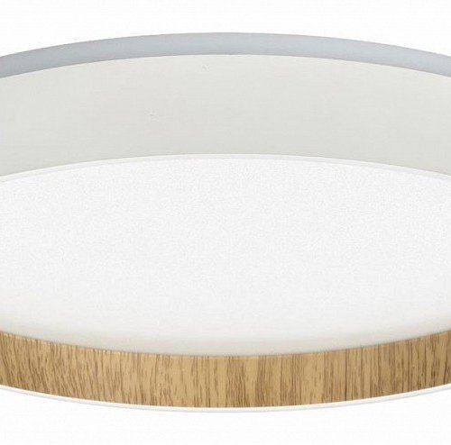 Настенно-потолочный светильник Citilux Etalon CL750240