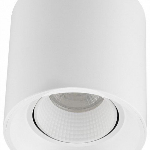 Накладной светильник Denkirs DK3090-WH Накладной светильник Denkirs DK3090-WH