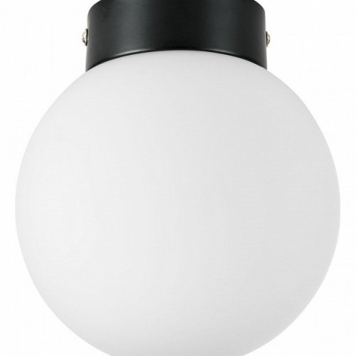Настенно-потолочный светильник Lightstar Globo 812017 Настенно-потолочный светильник Lightstar Globo 812017