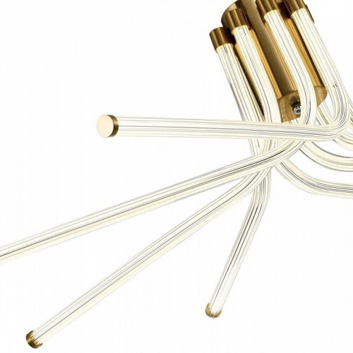 Потолочная люстра Lora ZRS.57784.08