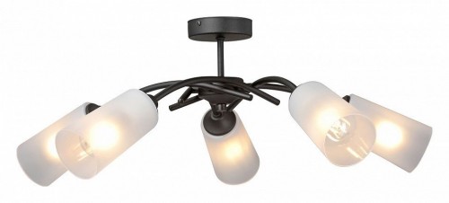 Потолочная люстра Vitaluce V2850-1/5PL