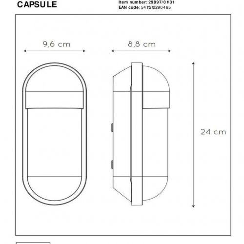 Уличный настенный светильник Lucide Capsule 29897/01/31
