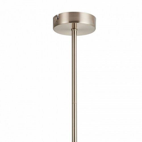 Потолочная люстра Favourite Varietas 2650-14P