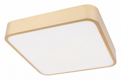 Потолочный светильник Loft IT Flims 10228/C