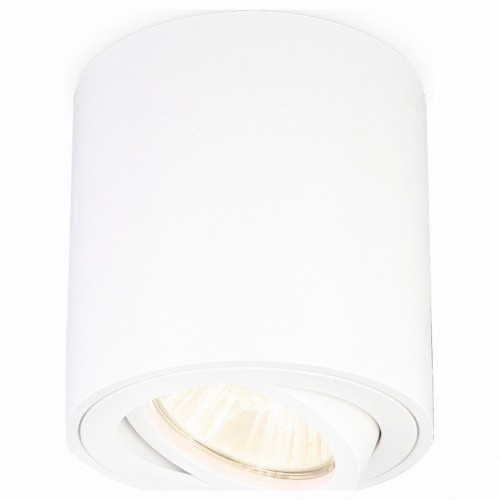 Потолочный светильник Ambrella light Techno Spot TN22701