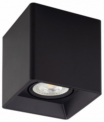 Потолочный светильник Denkirs DK3030-BK