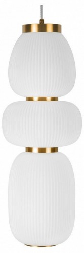 Подвесной светильник Loft IT Duff 10422/C