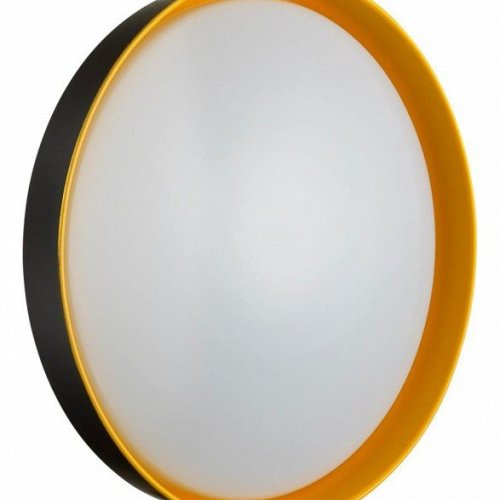 Настенно-потолочный светильник Sonex Tuna Yellow 7711/EL