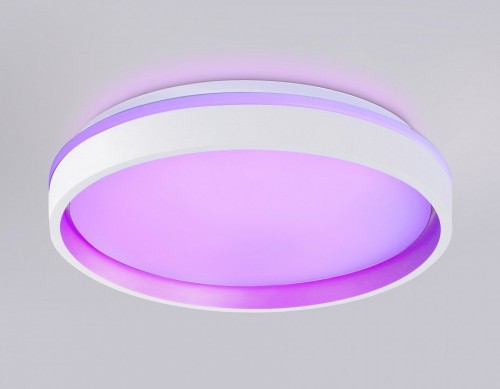 Накладной светильник Ambrella Light FZ FZ601