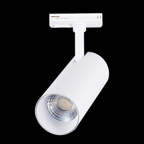 Светильник на штанге ST-Luce Mono ST350.536.20.24