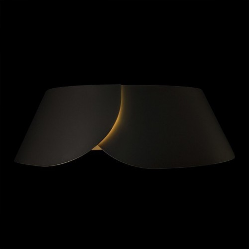 Потолочный светильник Loft IT Lane 10370 Black