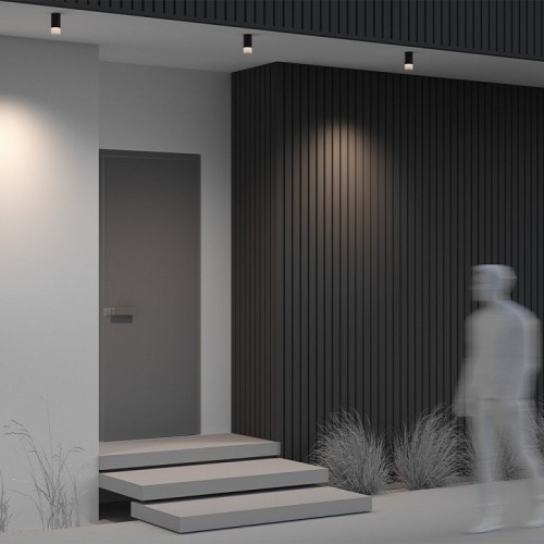 Потолочный светильник уличный Maytoni Ember O499CL-L5B3K