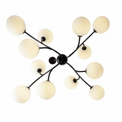 Потолочная люстра Zortes Blo ZRS.1178.12