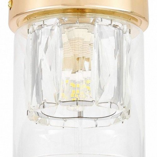 Накладной светильник Lampit DENI TC 2020-1 FGD