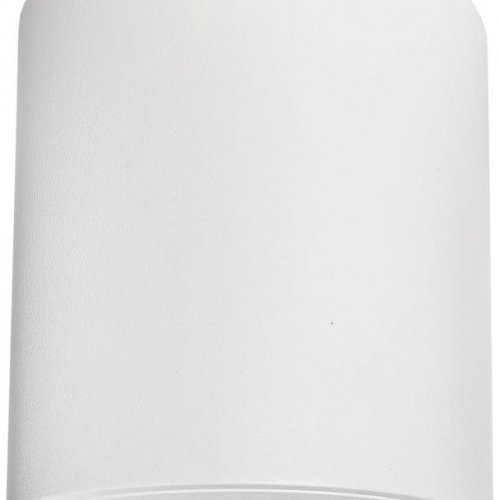 Потолочный светильник Lightstar Binoco 052006