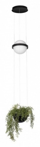 Подвесной светильник Loft IT Jardin 10121/B