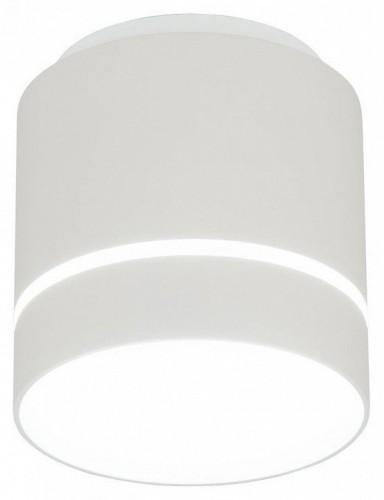 Накладной светильник Citilux Борн CL745020N