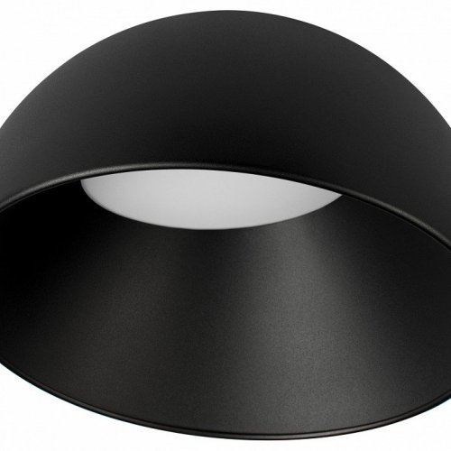 Потолочный светильник Loft IT Egg 10197/350 BB Потолочный светильник Loft IT Egg 10197/350 BB