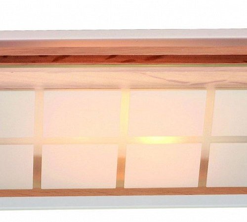 Настенно-потолочный светильник Omnilux OML-40511-02