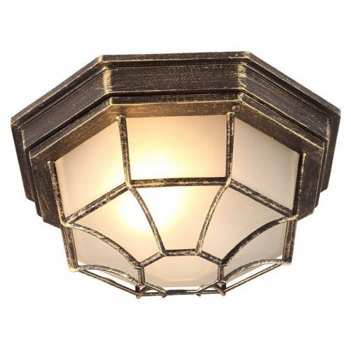 Уличный потолочный светильник Arte Lamp Pegasus A3121PF-1BN