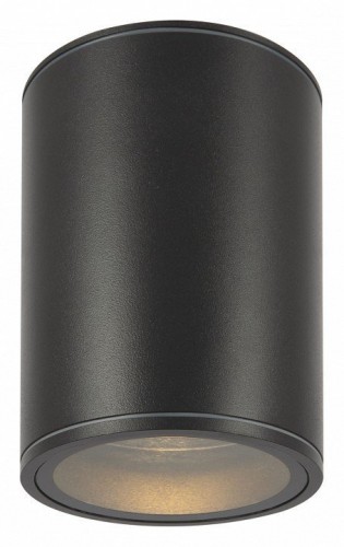 Потолочный светильник Maytoni уличный Bar O306CL-L7GF