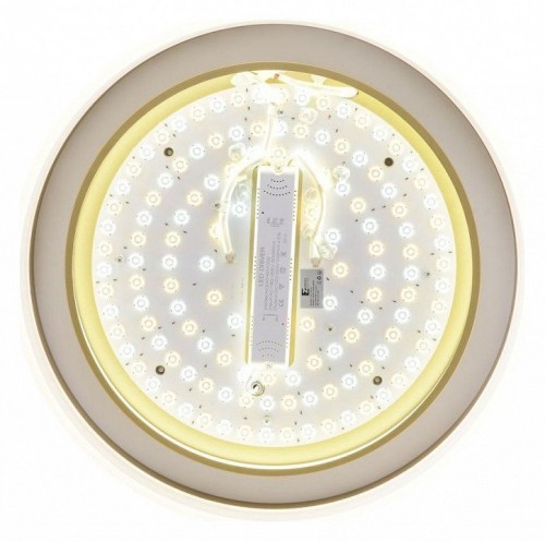 Потолочный светильник Zortes Adel ZRS.1200.01