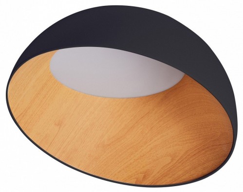 Потолочный светильник Zortes Baum ZRS.01243.05