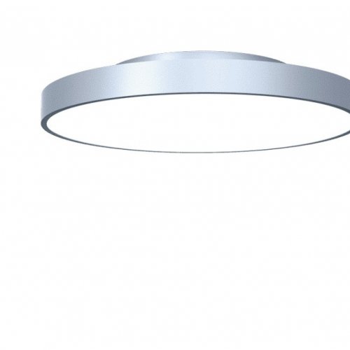 Потолочный светильник NX DL-BROC-4503021-SL-NN