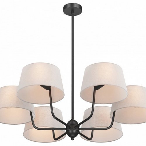 Потолочная люстра Maytoni Modesto MOD360PL-06B