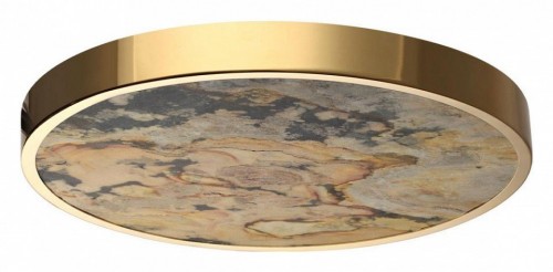 Настенно-потолочный светильник Odeon Light Bergi 5079/40L