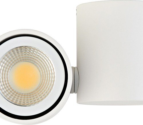 Точечный светильник Eva A1594White/RAL9003