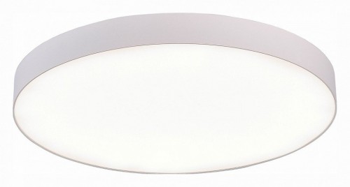 Потолочный светодиодный светильник ST Luce ST606.542.96