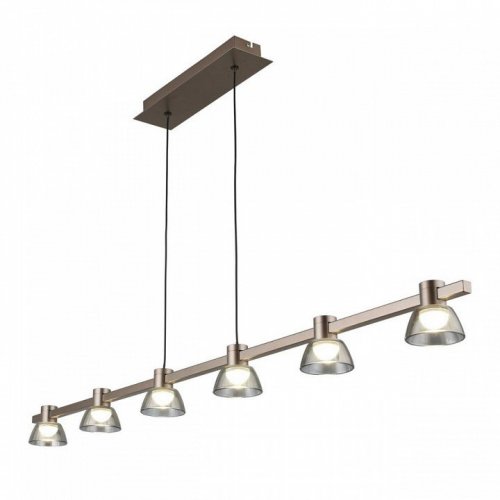 Подвесной светодиодный светильник Aployt Rezeda APL.788.03.06