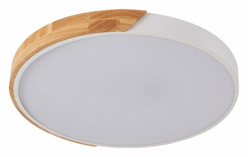Потолочный светильник Natali Kovaltseva Scandinavian LED LAMPS 81182