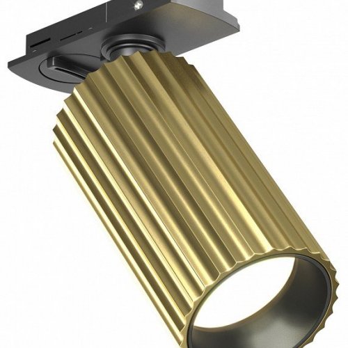 Светильник на штанге Maytoni Calipso TR218-1-GU10-BS