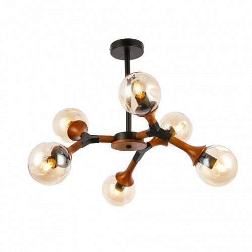 Потолочная люстра Evoluce Raquel SLE109402-06 Потолочная люстра Evoluce Raquel SLE109402-06