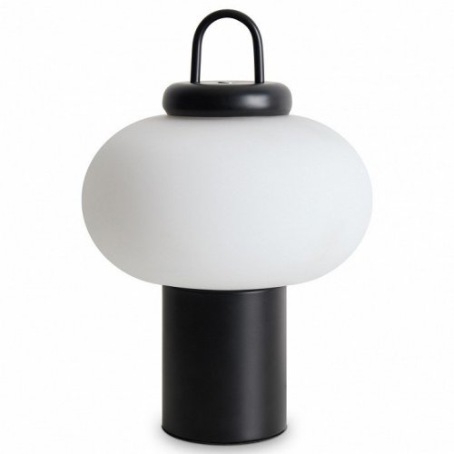 Интерьерная настольная лампа Freya Take FR6175TL-L10B